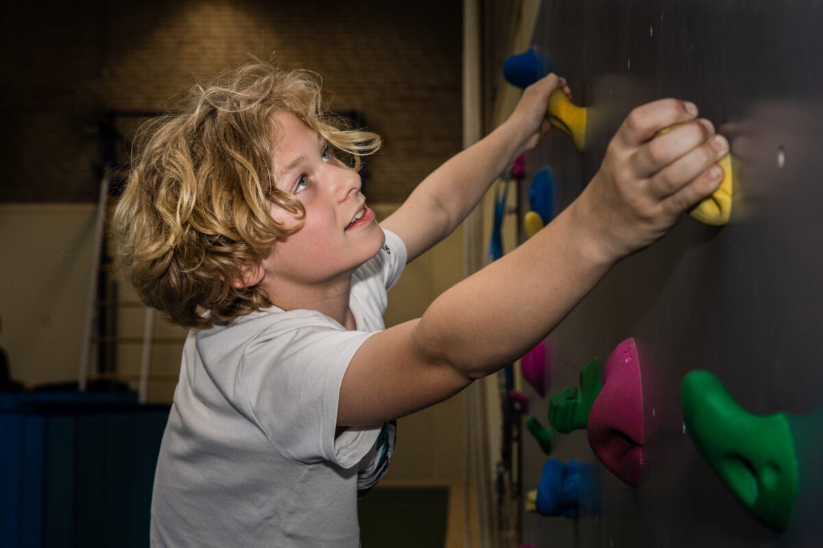 optimist keuze hires 16